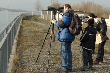 iwc vogel zahlen wasser|Wasservogelzählung – Wikipedia.